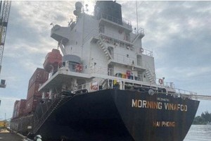 Vận tải Phương Anh khởi kiện Vinafco (VFC) vụ 42 ô tô bị rơi xuống biển tại Quảng Nam