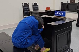 Bị cáo Nguyễn Thị Việt tại tòa 