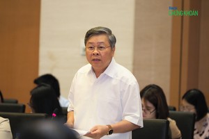 Ông Đinh Dũng Sỹ phát biểu tại phiên họp (Ảnh: M.Minh)