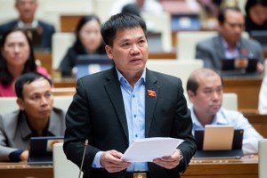 ĐBQH Dương Khắc Mai cho rằng bất động sản, chứng khoán, ngân hàng... đang rất khó khăn nhưng không được giảm VAT. 