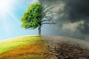 Thành lập Hội đồng quốc gia về phát triển bền vững