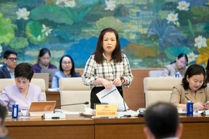 Bà Vũ Thị Lưu Mai, Phó Chủ nhiệm Ủy ban Kinh tế, Tài chính của Quốc hội phát biểu tại phiên họp.