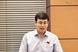 Đại biểu Đỗ Đức Hiển (đoàn TP.HCM) phát biểu tại họp tổ Quốc hội chiều 10/5 về sửa Luật Doanh nghiệp (Ảnh: M.M)