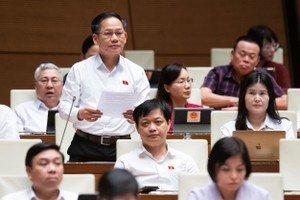 Đại biểu Trần Đình Gia (đoàn Hà Tĩnh)