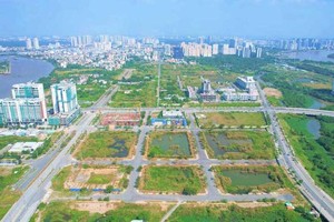 Xử lý vi phạm đất đai trước năm 2024: Chính phủ chỉ đạo rà soát pháp luật