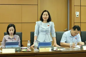 Đại biểu Trương Thị Bích Hạnh (TP.HCM) đề nghị không đưa khái niệm “chung cư có thời hạn” vào dự thảo luật.