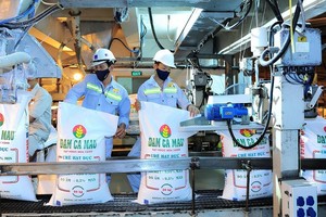 Nếu nghị định về miễn thuế xuất khẩu 3 loại phân bón được thông qua, DCM có thể ghi nhận thêm hơn 200 tỷ đồng lợi nhuận/năm, do không phải nộp thuế.