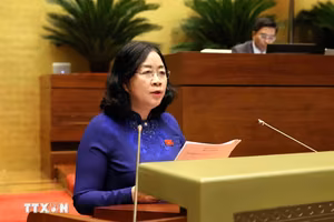 Cử tri lo ngại lừa đảo sử dụng AI, hàng giả và chậm giải quyết thủ tục đất đai