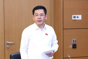 Phó Chủ tịch Quốc hội Nguyễn Hồng Diên thảo luận tại tổ chiều 17/10 về dự án Luật sửa đổi, bổ sung một số điều của Luật Chứng khoán