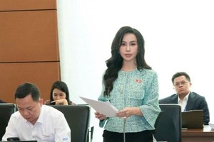 Đại biểu Lê Nữ Thùy Dương (đoàn Đồng Nai) đề nghị luật hoá quy định chứng khoán hoá khoản nợ