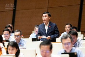 Đại biểu Lê Hoàng Anh (đoàn Gia Lai) trăn trở vấn đề: Lấy vốn dài hạn ở đâu để nền kinh tế đi đường dài?