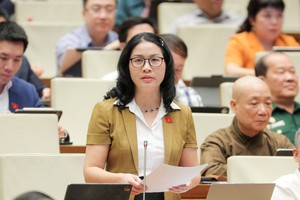 ĐBQH Nguyễn Thị Lan (TP. Hà Nội) phát biểu thảo luận chiều 30/10.