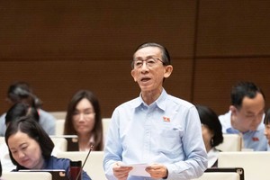 Đại biểu Trần Hoàng Ngân (TP Hồ Chí Minh) phát biểu tại hội trường Quốc hội sáng 31/10.