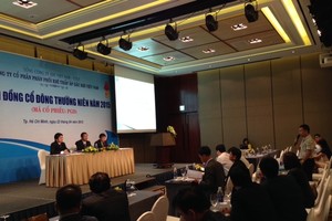 ĐHCĐ PGD: Cổ đông thắc mắc lương, thưởng của HĐQT quá cao