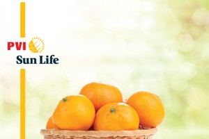 PVI Sun Life ra mắt hai sản phẩm mới