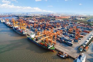 Chúng ta ký kết hiệp định thương mại nhiều, nhưng doanh nghiệp tận dụng được rất thấp