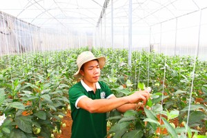 Gần như tất cả các doanh nghiệp đều chịu tác động tiêu cực bởi Covid-19. Ảnh: Lê Toàn