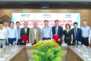 BIC sẽ trở thành nhà cung cấp trong chương trình tặng bảo hiểm cho khách hàng của TMT