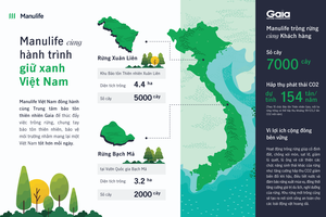 Manulife Việt Nam cùng khách hàng trồng rừng 