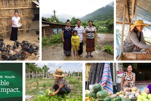 Manulife hỗ trợ 1 triệu USD cho nền tảng vay vốn phi lợi nhuận Kiva