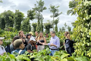 Nestlé quảng bá hình ảnh cà phê Việt ra thế giới 