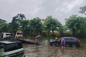 PTI ghi nhận hơn 120 vụ thiệt hại sau bão số 5, ước chi trả bồi thường trên 6,1 tỷ đồng