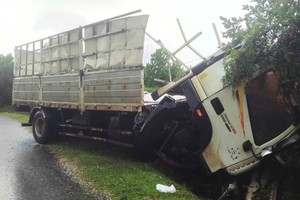 Chiếc xe mất phanh và đâm vào taluy đường và bị hư hỏng nặng