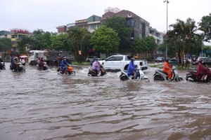 Bảo hiểm sẽ bồi thường như nào cho vùng địa phương được tuyên bố thảm họa thiên tai do mưa bão?. Ảnh minh họa. 