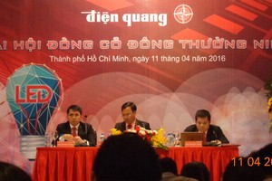 ĐHCĐ DQC: Cổ đông thắc mắc về kế hoạch lợi nhuận giật lùi