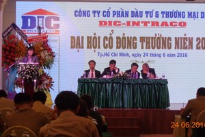 DIC: Chuyển nhượng dự án bất động sản, đẩy mạnh kinh doanh than