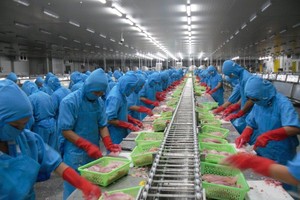 Dây chuyền tại nhà máy Thanh Bình, Đồng Tháp