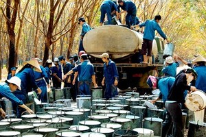 Giá cao su tăng mạnh, PHR đặt mục tiêu lãi 271 tỷ đồng