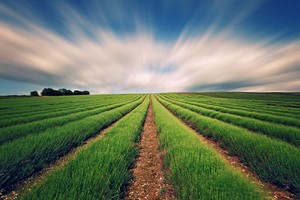 PAN: Lợi nhuận của các mảng cốt lõi vẫn tăng trưởng khả quan