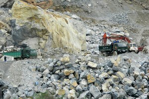 6 tháng, NNC hoàn thành 59% kế hoạch lợi nhuận năm