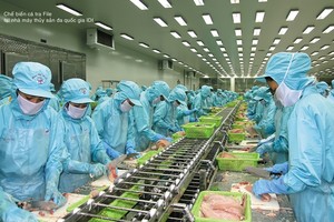 IDI trả cổ tức tiền mặt tỷ lệ 16% trong quý IV/2017