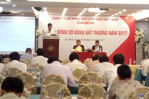 Cadivi (CAV): Thay 3 thành viên HĐQT bằng nhân sự do GELEX đề cử