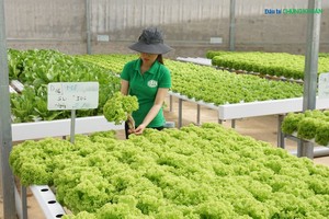 Miễn, giảm thuế có phải là giải pháp tối ưu để doanh nghiệp lớn lên?