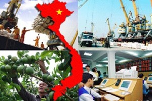 Xem danh mục các mặt hàng xuất khẩu nông sản tỷ USD của Việt Nam