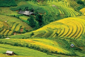 Tây Bắc thu hút 106 dự án FDI trị giá 1,73 tỷ USD