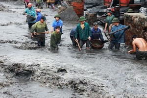 TKV kiến nghị cơ chế đặc thù xử lý tài chính khắc phục thiệt hại do mưa lũ 