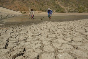 Việt Nam xếp thứ 23/190 quốc gia về mức độ tổn thương do biến đổi khí hậu