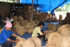 Chỉ 1/3 trong số gần 20.000 hợp tác xã “sống khoẻ“