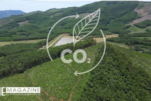 Agribank - mắt xích tài chính trong chuỗi giá trị tín chỉ carbon