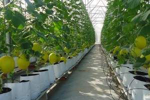 Chủ tịch Thaco Trần Bá Dương: Làm nông nghiệp không chỉ có nuôi trồng