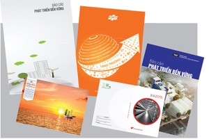 Bảo vệ cổ đông, quy định đã tốt nhưng còn cần thực thi tốt