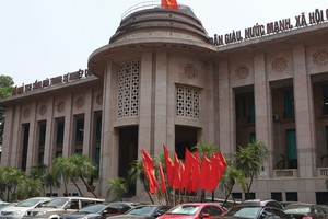 Phó thống đốc Nguyễn Thị Hồng: Các tổ chức tín dụng vững tin vượt qua thách thức