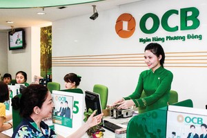 Đối với lĩnh vực ngân hàng, Chính phủ chỉ mở tối đa 30% room sở hữu cho nhà đầu tư nước ngoài. Ảnh: Đức Thanh