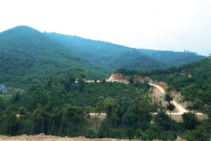 Con đường bạt đồi dẫn vào các khu công trình