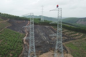 Tổng giám đốc EVNNPT đốc tiến độ đường dây 500 kV mạch 3