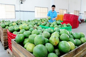 Trái cây Việt tăng tốc sang Mỹ